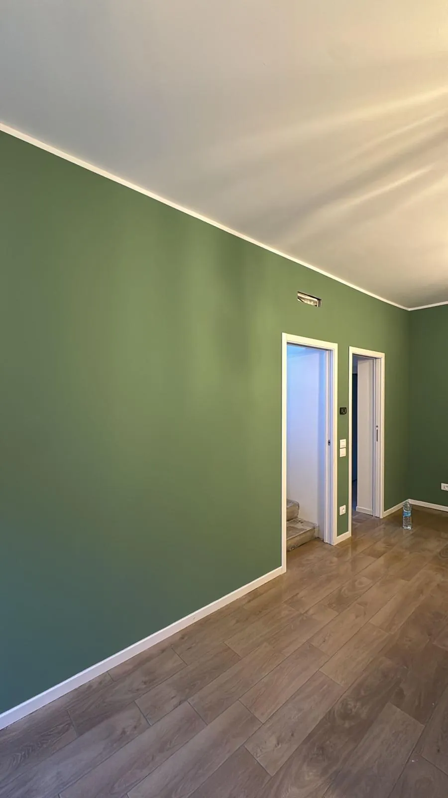 Soggiorno ristrutturato con parete verde e nuovo pavimento in laminato — Brescia